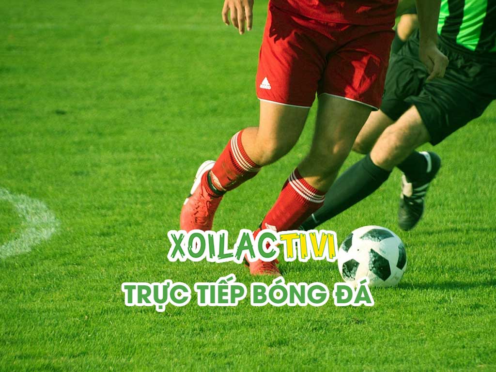 livescore-7m-nhanh-va-chinh-xac-nhat